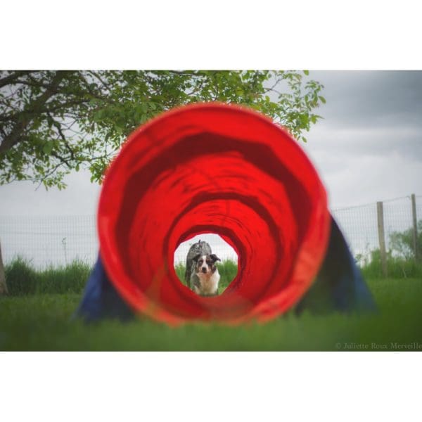 Antislip Tunnel  6 Meter - Bild 5