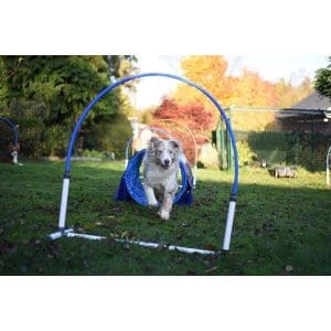 Animo Hoopers 10pack  PVC