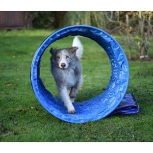 Animo Hoopers tunnel 80cm
